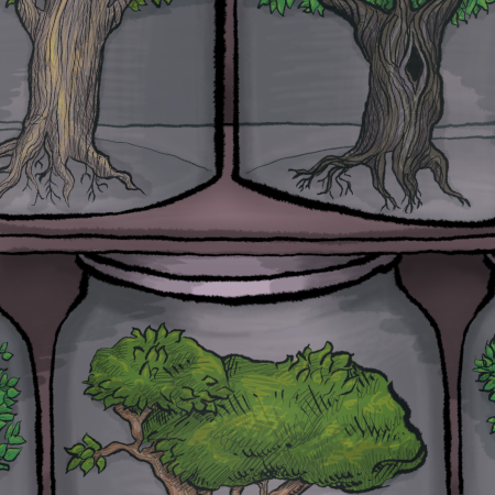 Drawing of pickle jars with trees in them on a shelf